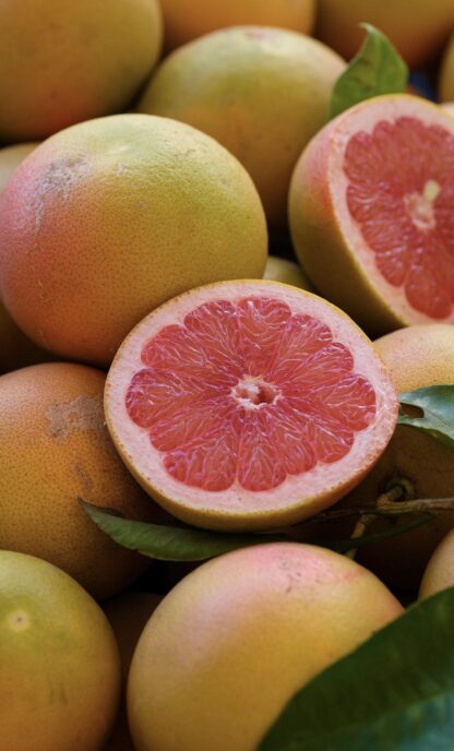 Grapefruit aus Sizilien im VitaDel Online Shop